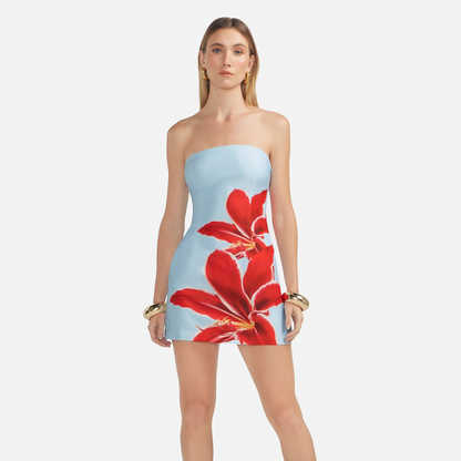 MONTEVERDE MINI DRESS